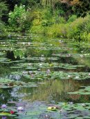 9月の水の庭(2) 9月の水の庭(2)